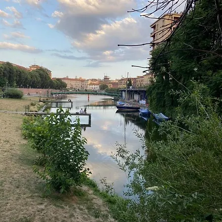 Fiori Di Grano