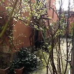Residenza Fiori Di Grano 3*