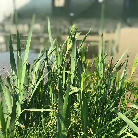Residenza Fiori Di Grano Nocleg ze śniadaniem
