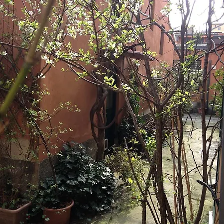 Fiori Di Grano 3*