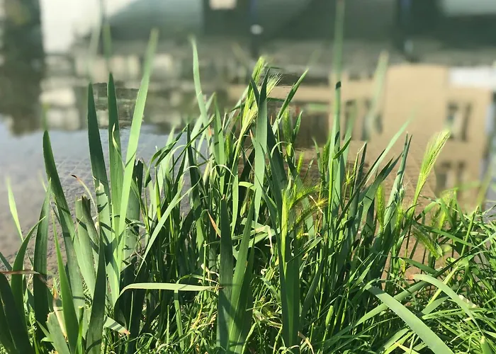 Residenza Fiori Di Grano Alojamento de Acomodação e Pequeno-almoço